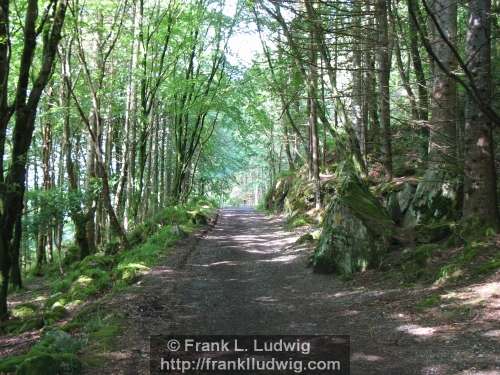 Slish Wood, Sleuth Wood
